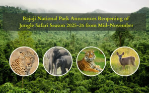 http://Rajaji%20National%20Park%20Announces%20Reopening%20of%20Jungle%20Safari%20Season%20from%20Mid-November